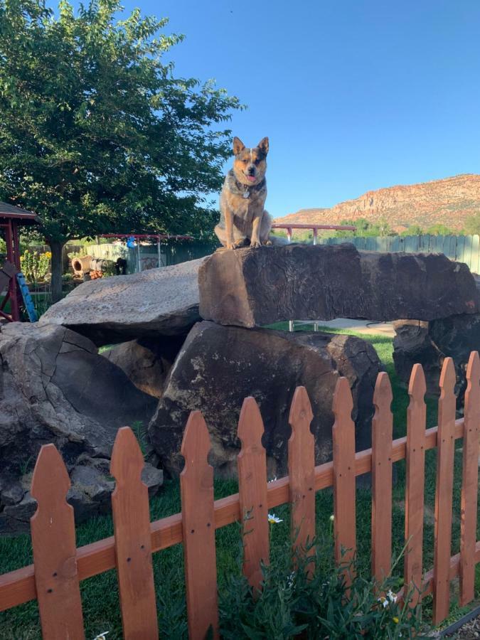 Zion'S Backyard Bed And BreakfastColorado City エクステリア 写真
